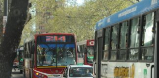 Cómo será el nuevo sistema de transporte público que impulsa Alak en La Plata