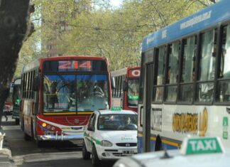 Cómo será el nuevo sistema de transporte público que impulsa Alak en La Plata