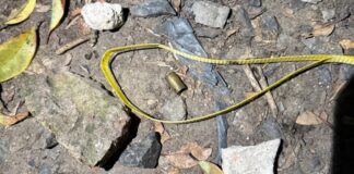 Policía de la bonaerense mató a un “motochorro” de 16 años que le quiso robar en Los Hornos