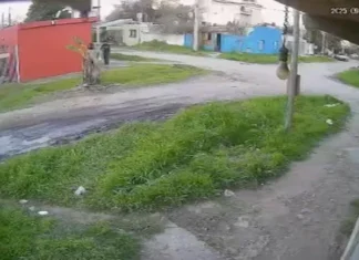 Defendió a su madre de un robo y murió a balazos