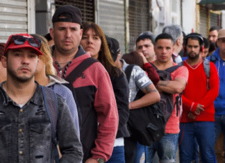 ANSES lanzó un bono de $300.000 de ANSES para desempleados: ¿Cómo acceder y cuándo se cobra?
