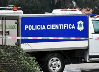 Tragedia en Hurlingham: un joven asesinó a su madre e intentó suicidarse saltando de un balcón
