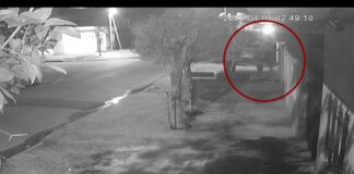 Terror en González Catán: torturaron a una jubilada durante dos horas en una entradera