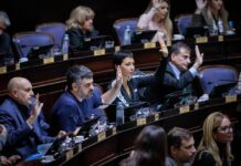 Media sanción para la “Ley Joaquín”: la Legislatura regula seguridad en clubes, escuelas y parques