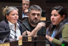 Freno a la extranjerización: el kirchnerismo presentó un proyecto para limitar la venta de tierras en PBA