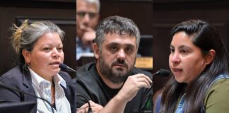 Freno a la extranjerización: el kirchnerismo presentó un proyecto para limitar la venta de tierras en PBA