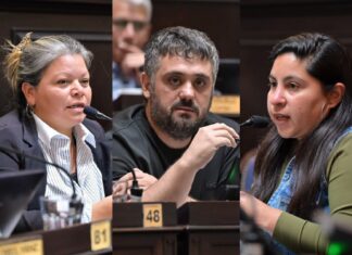 Freno a la extranjerizaci贸n: el kirchnerismo present贸 un proyecto para limitar la venta de tierras en PBA