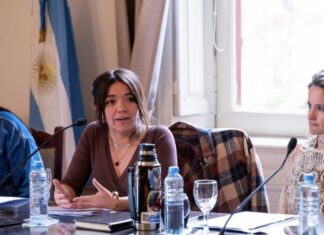 Endeudamiento familiar: La Legislatura bonaerense avanza con un proyecto para frenar ejecuciones hipotecarias